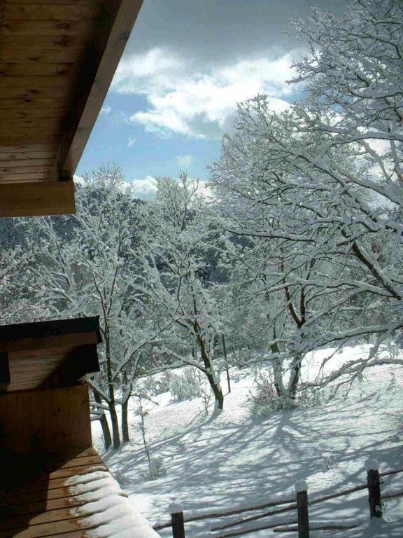 Hotel Rural Las Rozuelas Cercedilla Cameră foto